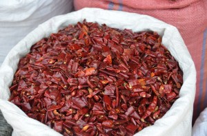 dsc_0014-160922-copier