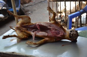 dsc_0033-160922-copier