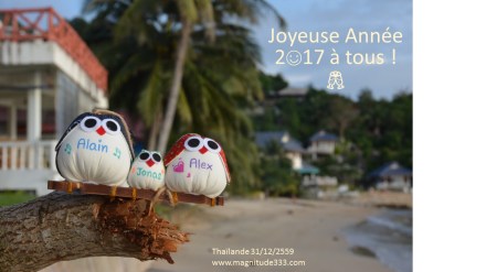 voeux2017magnitude333