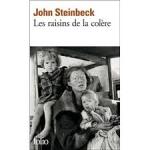 lesraisinsdelacolere